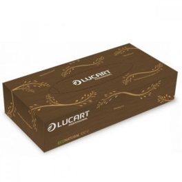   Lucart EcoNatural 100V, 2rétegű kozmetikai kendő, 100lap/doboz, 40doboz/karton