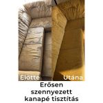 Brilliance ® Szőnyegtisztító sampon 1 l